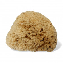 Губка натуральная морская (середняя)